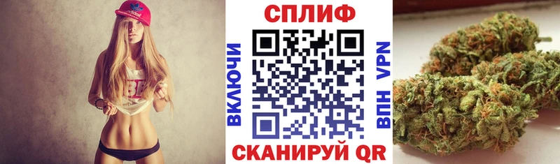 наркотики Макушино Канабис OG Kush